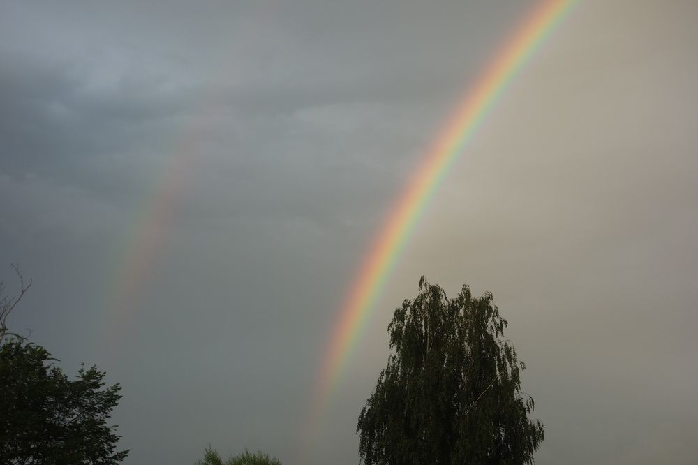 Photograph by Дарья Гришина