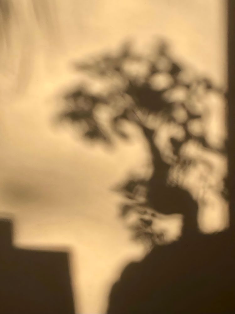 Photograph by Valentina Suleimanova