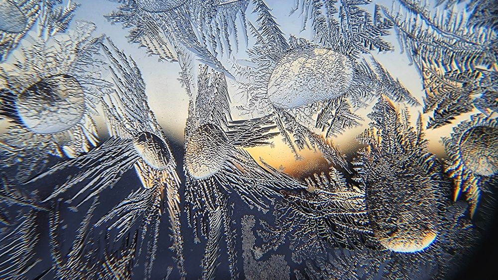 Photograph by Dina Chaica