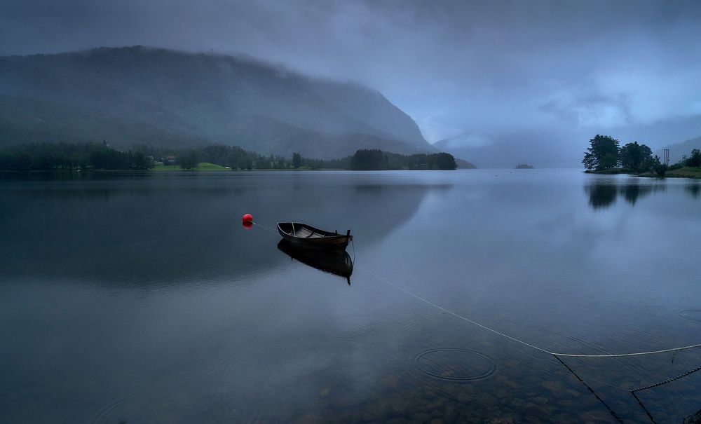 Photograph by 