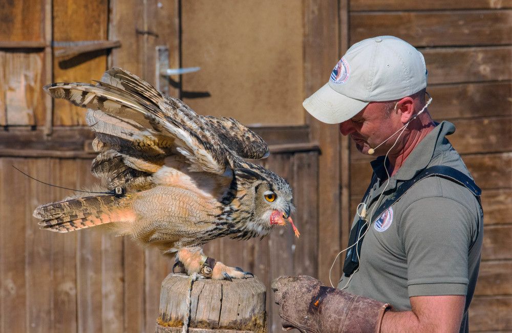 Photograph by Laima Kuriene