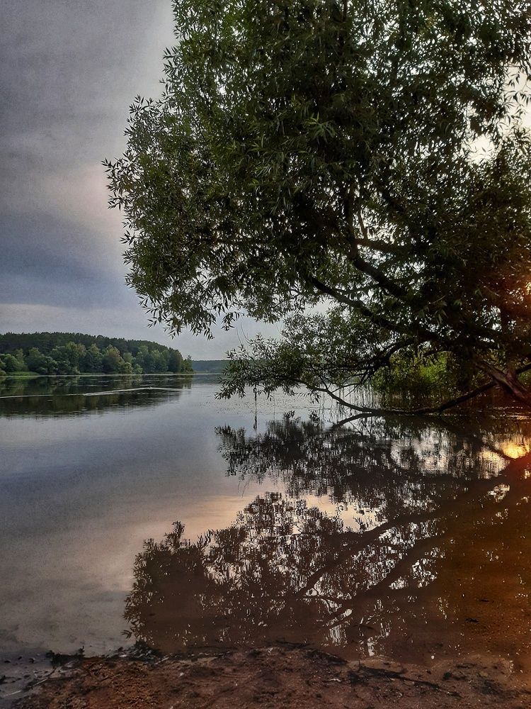 Photograph by Александра Кропивка