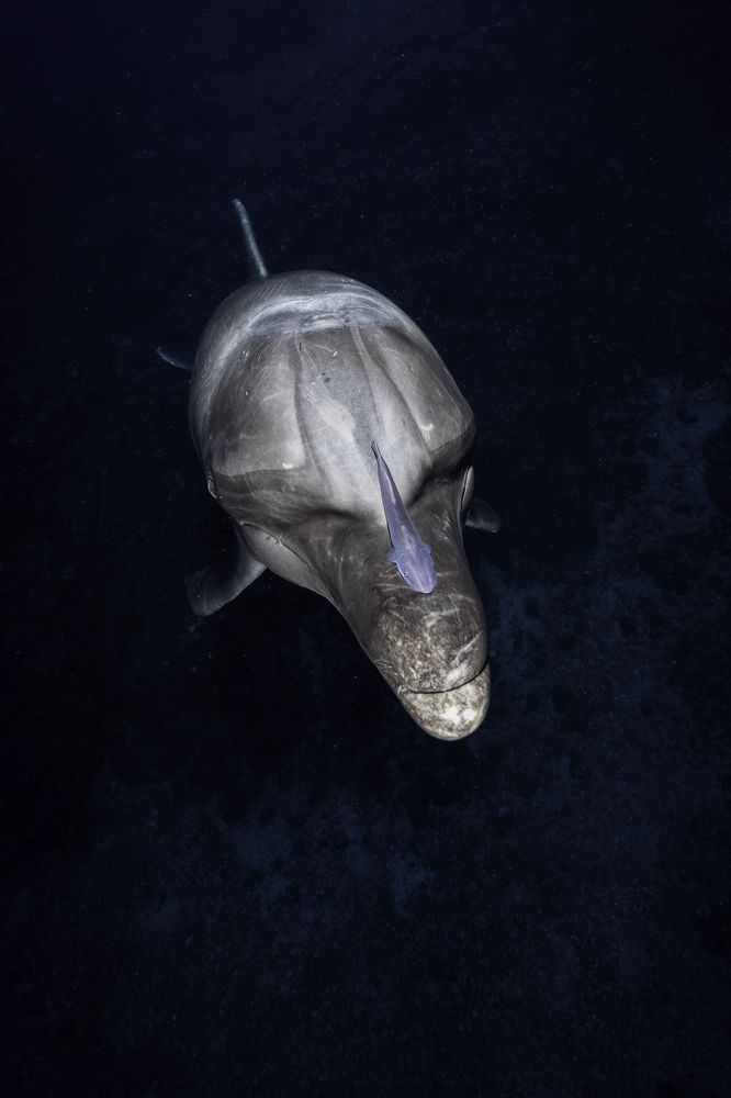 Photograph by Merche Llobera