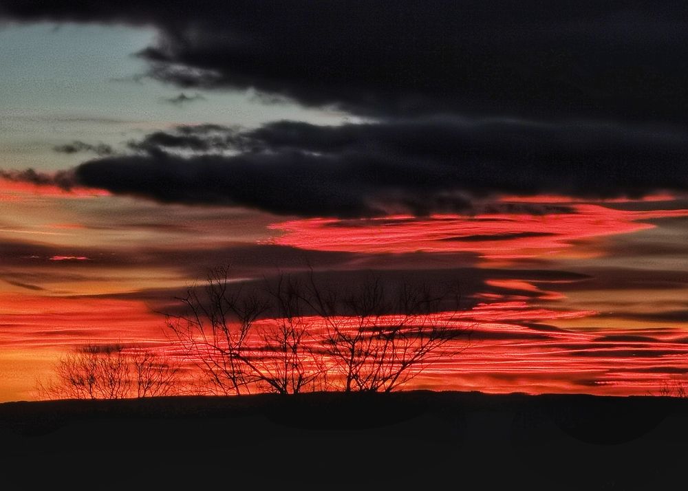 Photograph by Eva Wiedemann