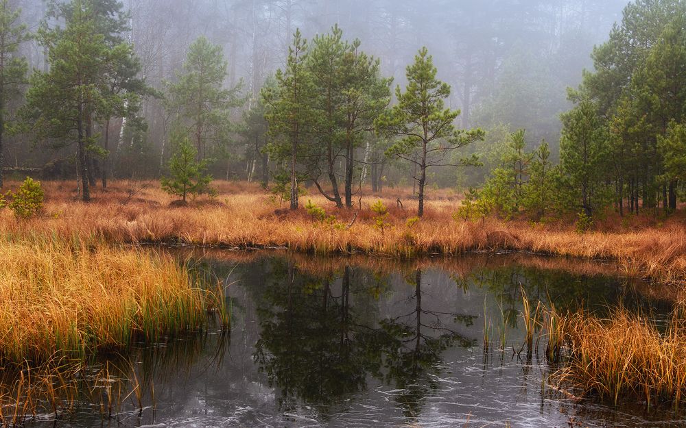 Photograph by Сергей Дишук