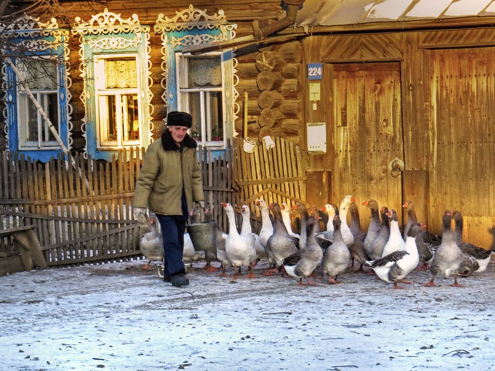 Photograph by Нина Будникова