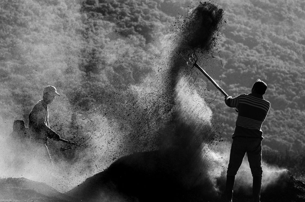 Photograph by Mahdi vagahri shorche