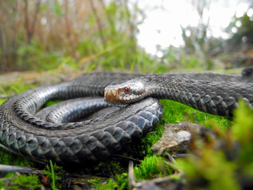 Photograph by Андрей Головин