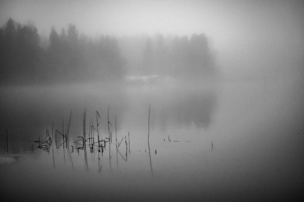 Photograph by Виктор