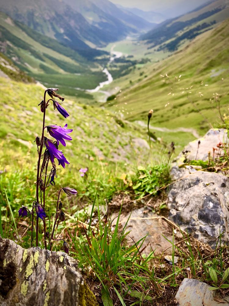 Photograph by Марина Тихонова