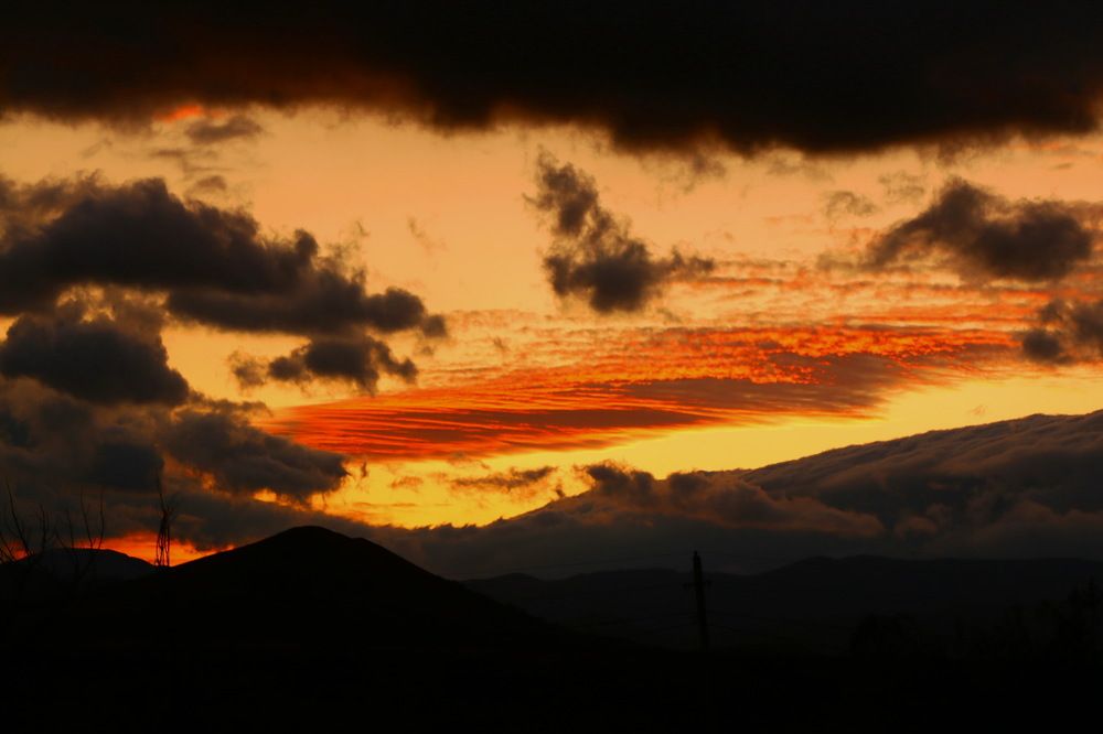 Photograph by 