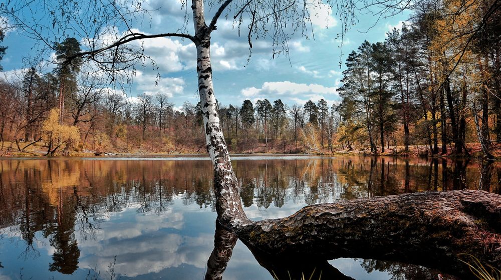 Photograph by Марина Шамич