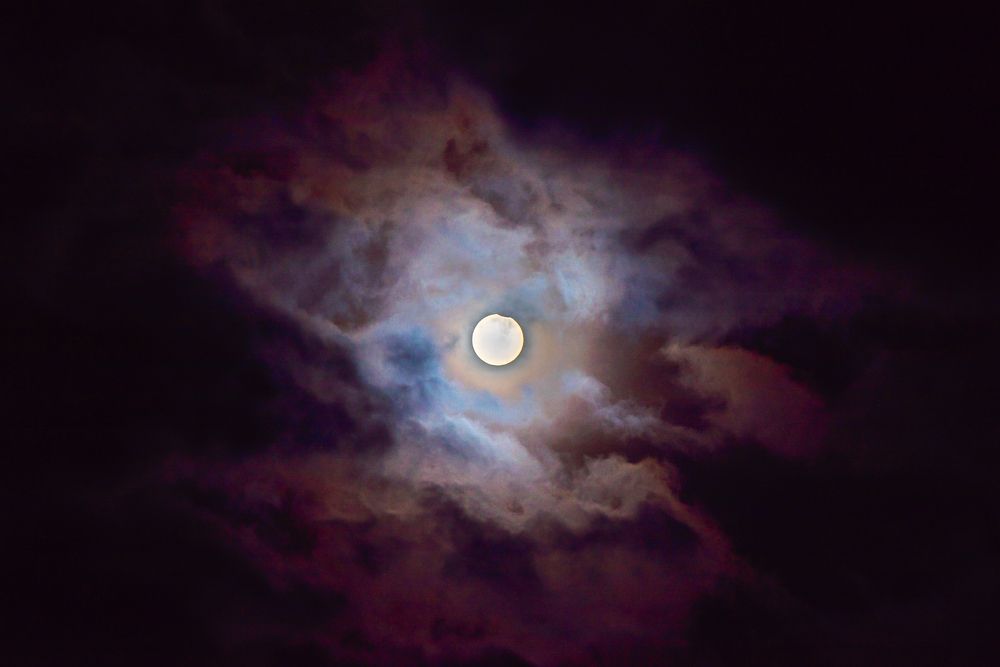 Photograph by Hoandra Ilie