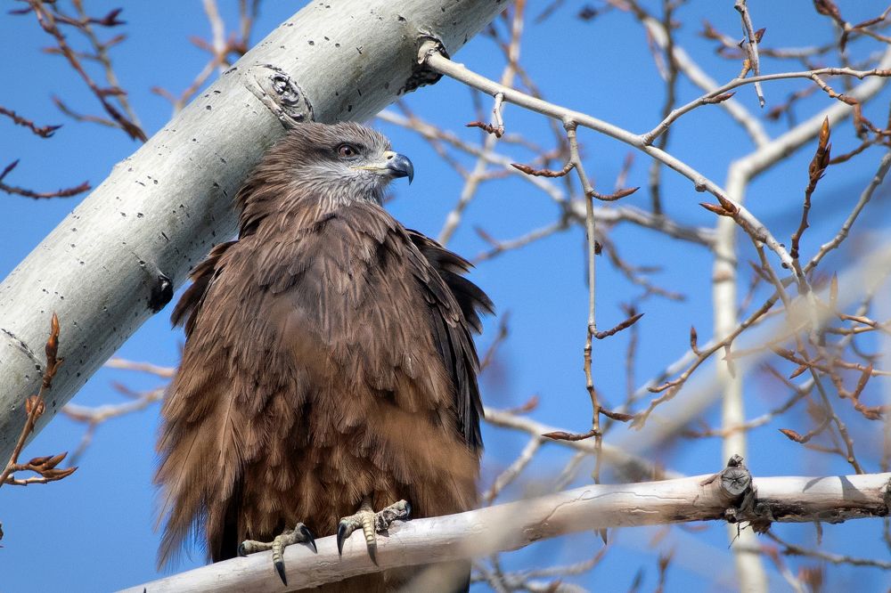 Photograph by Александр Перегудов