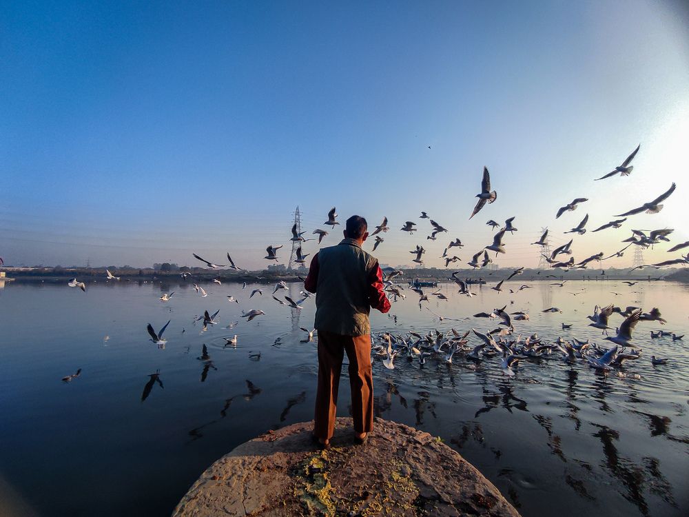 Photograph by HARSHIT MISHRA