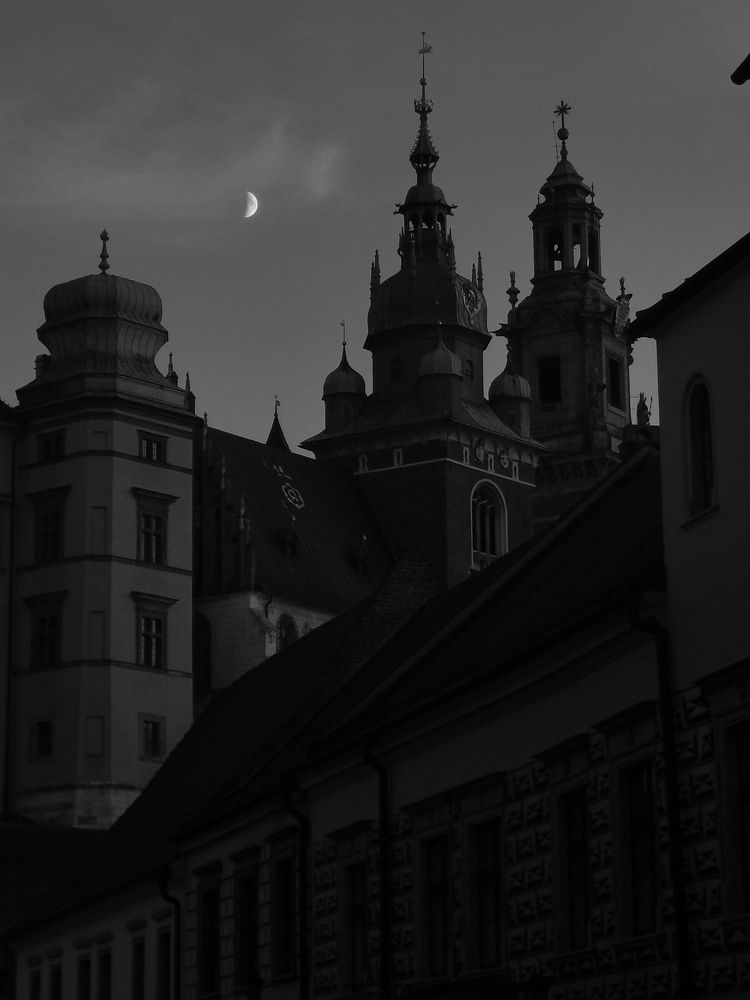 Photograph by Palina Mikhailouskaya