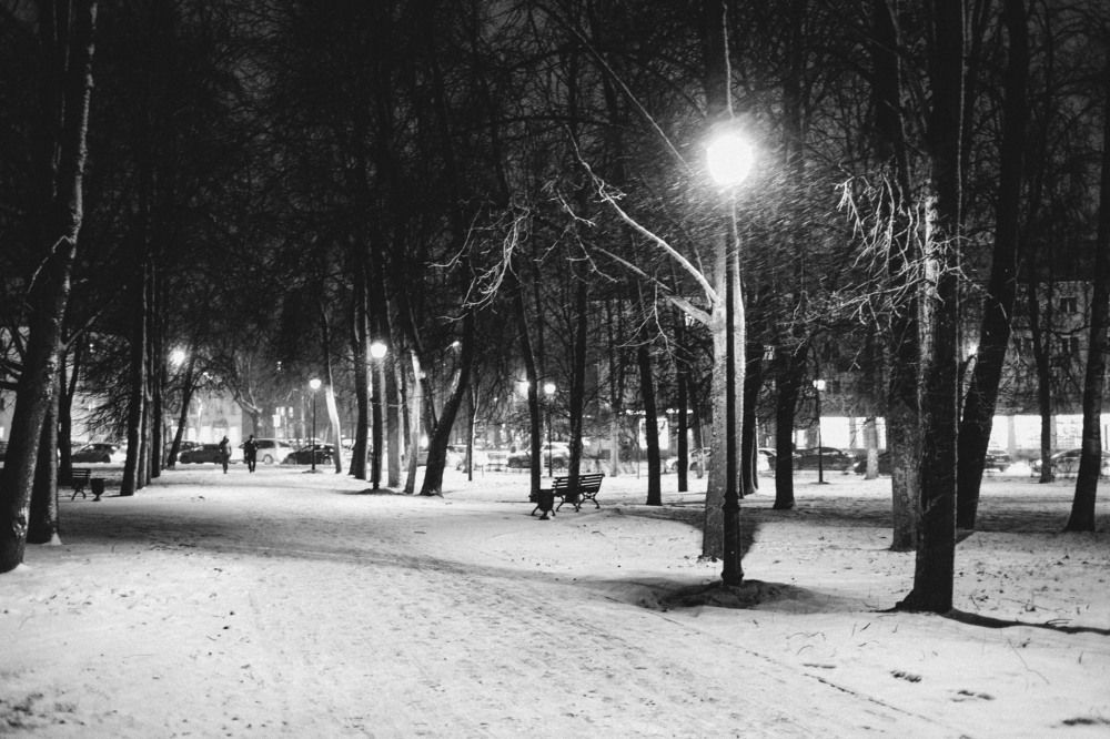 Photograph by Екатерина