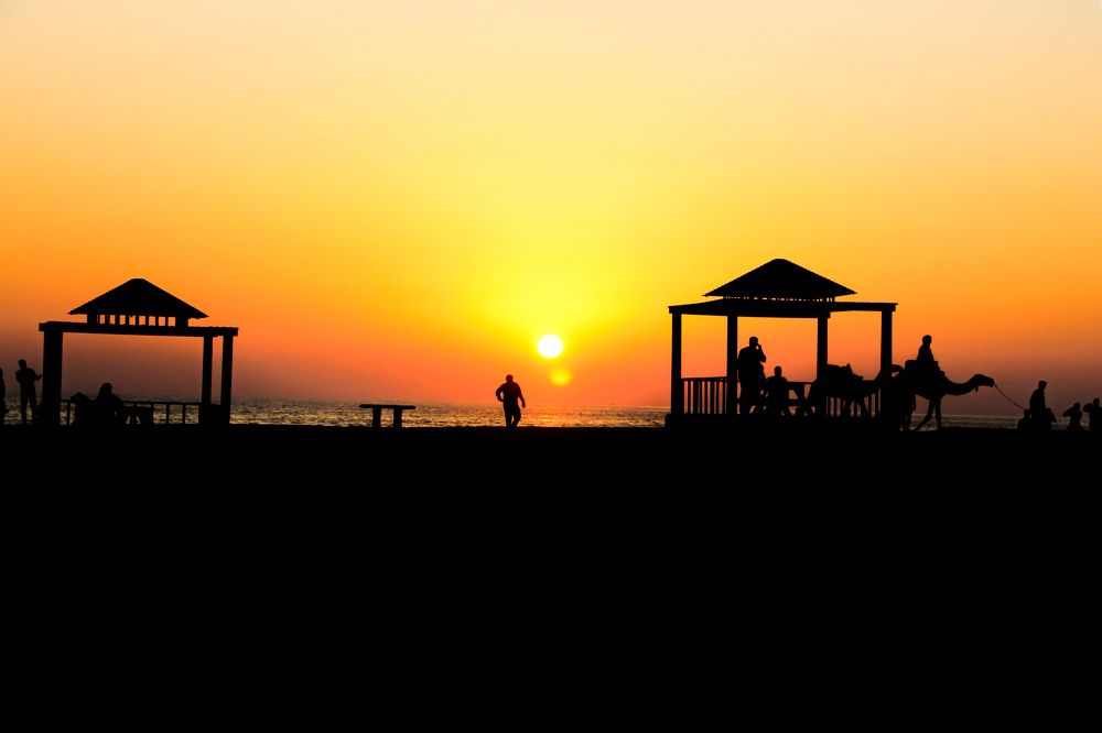 Photograph by Amin Jamei