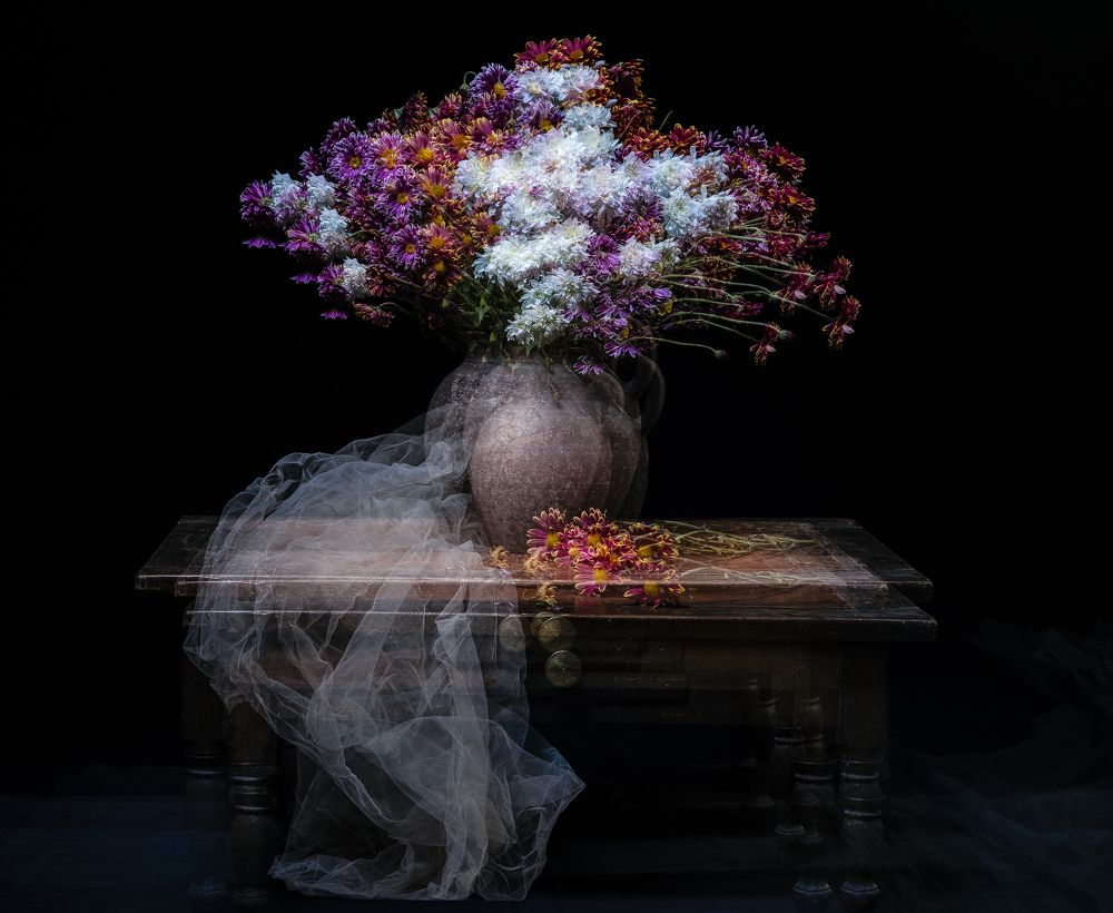 Photograph by sara shafigh