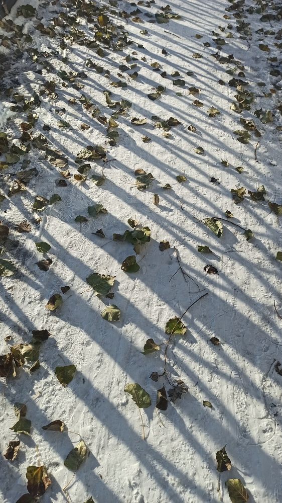 Photograph by Ольга Горбачева