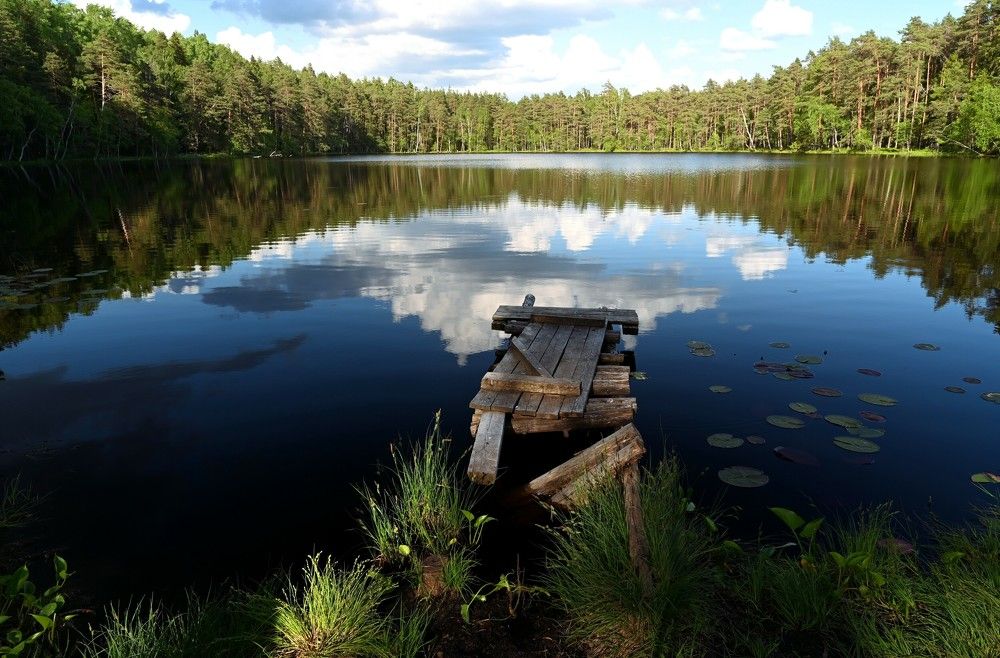 Photograph by IJA REIMAN