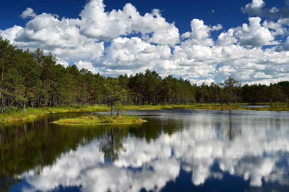 Photograph by IJA REIMAN