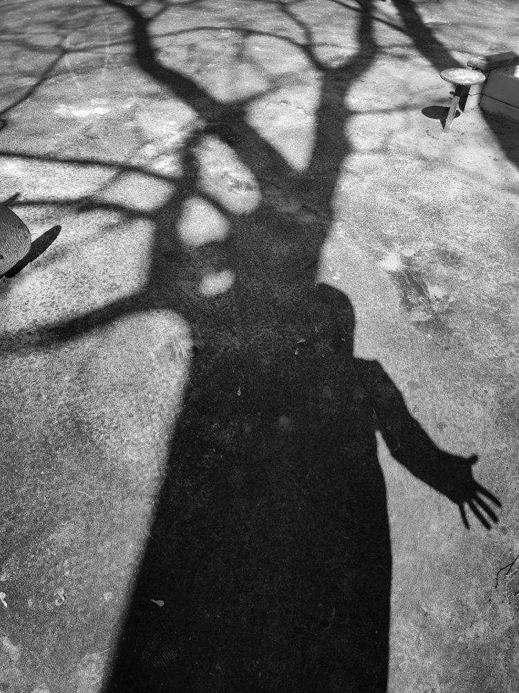 Photograph by Татьяна Аршинова