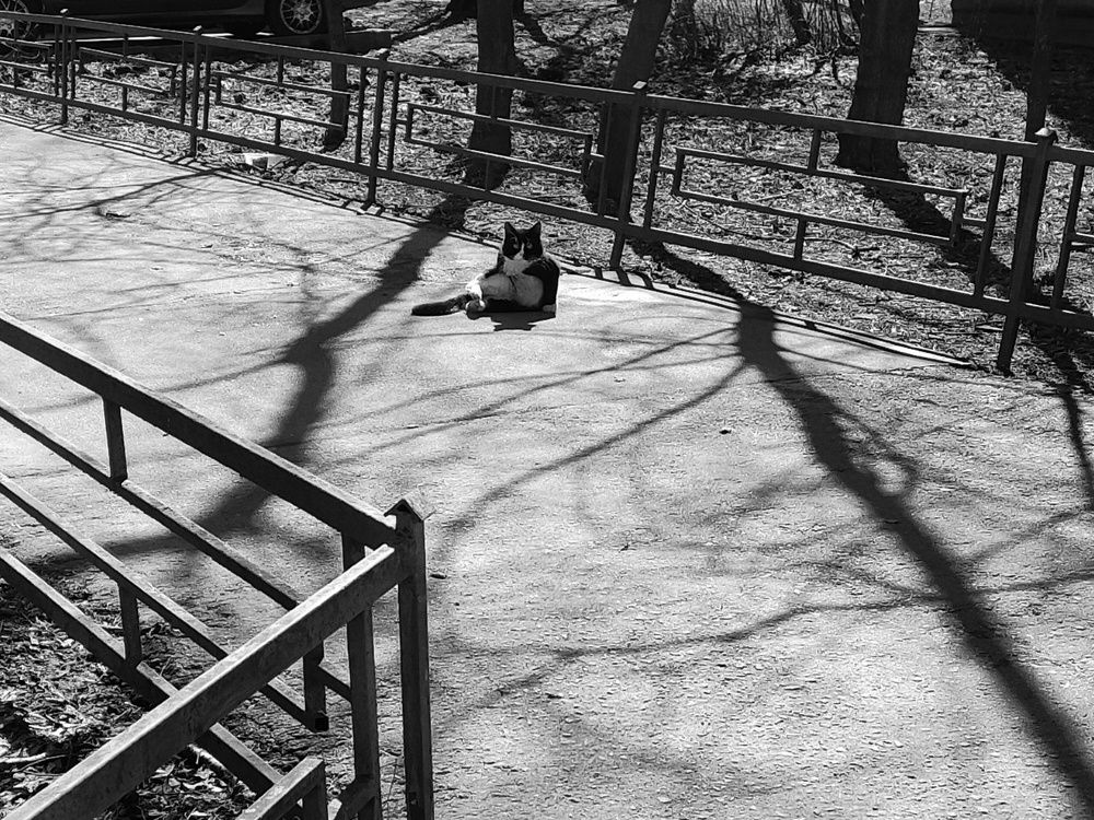 Photograph by Татьяна Аршинова