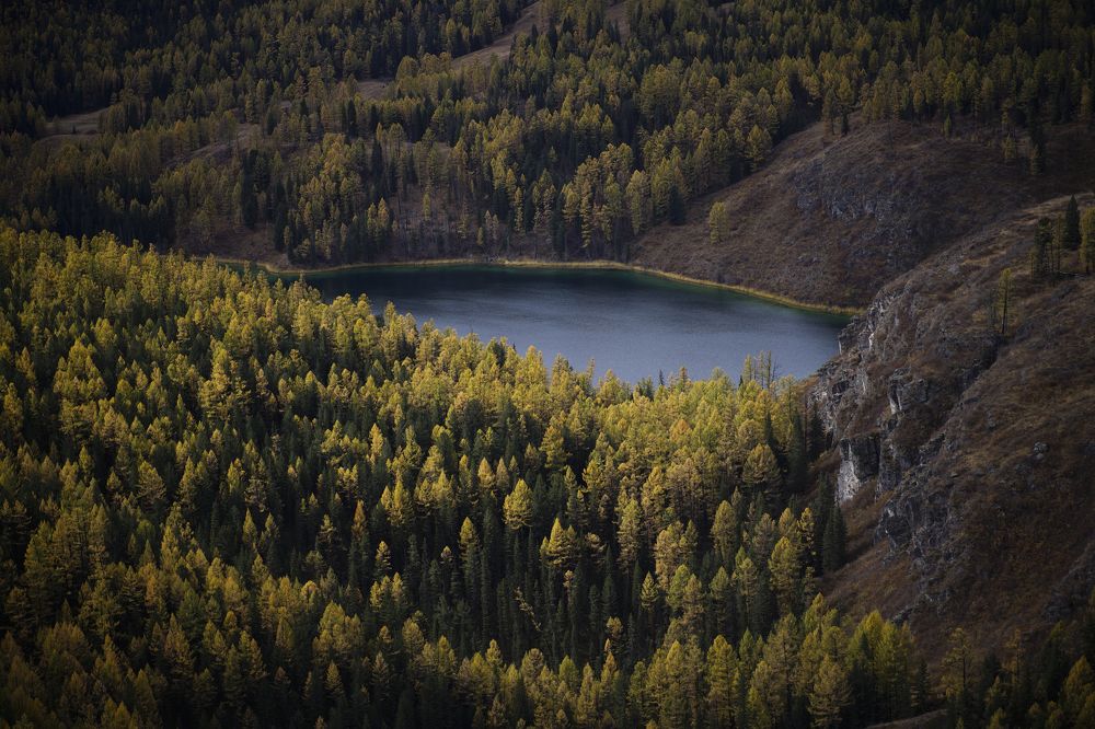 Photograph by Анна Воронова