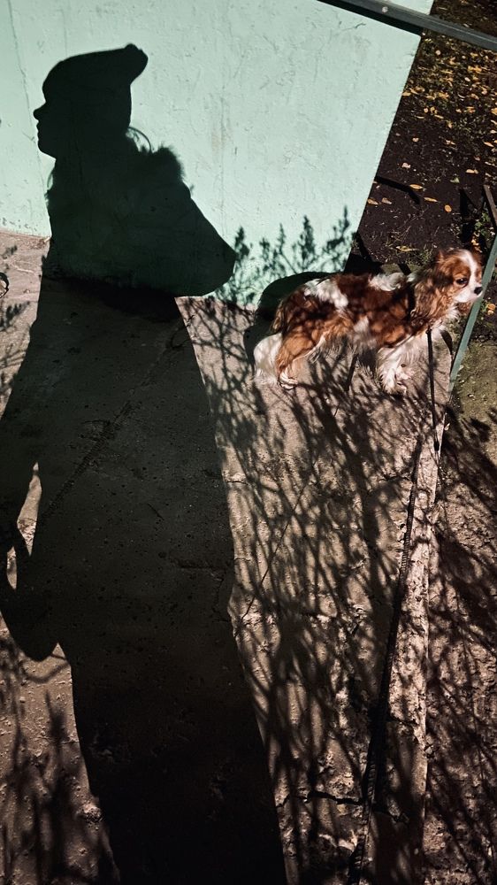 Photograph by Анна Петрова