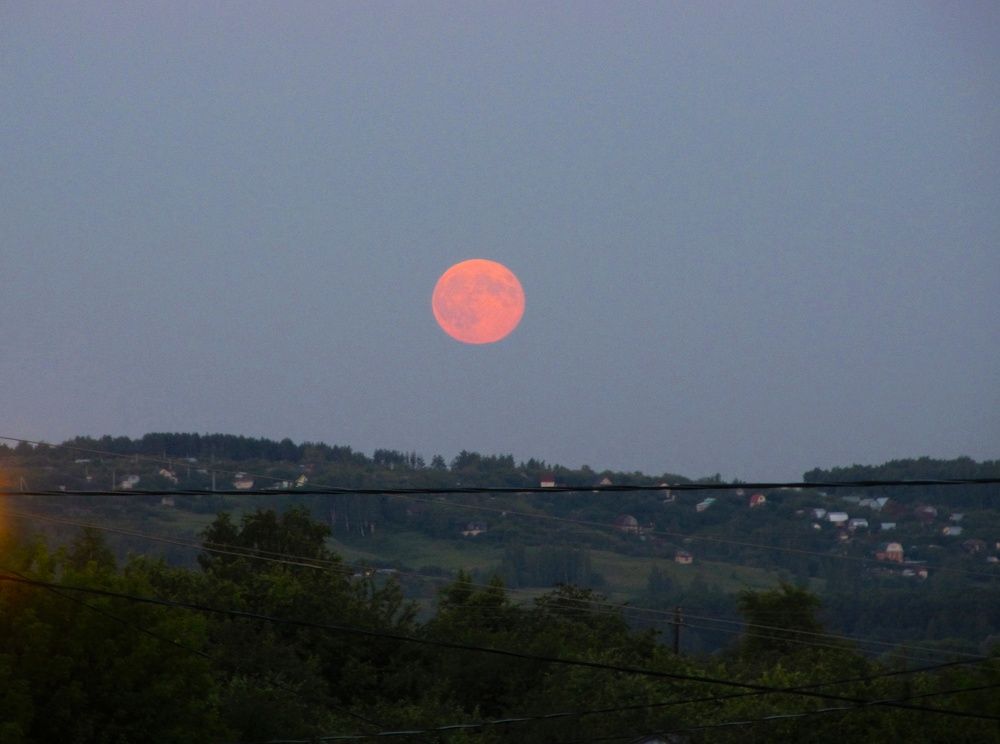 Photograph by Лилия Мустафина
