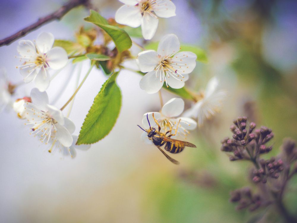 Photograph by Fadeeva Ekaterina