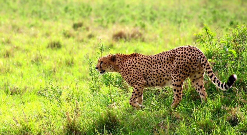 Photograph by Epp Tappel