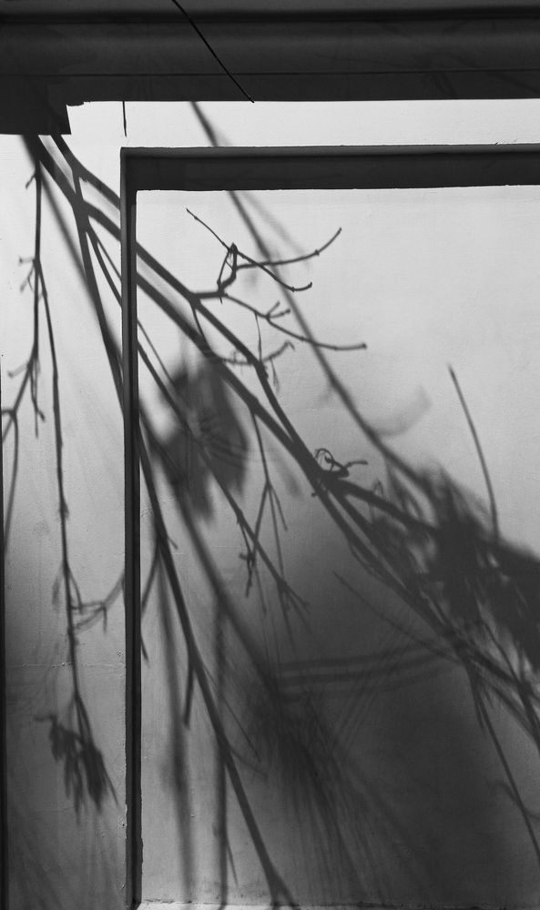 Фотография автора Мария Веселова