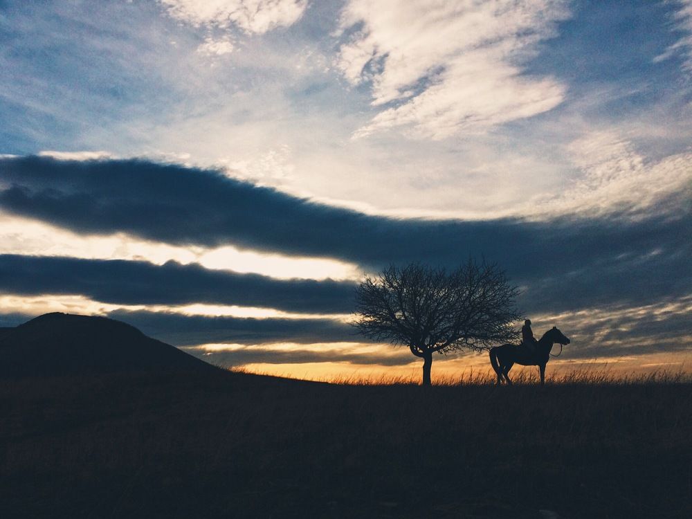 Photograph by Olesya Serebryantseva