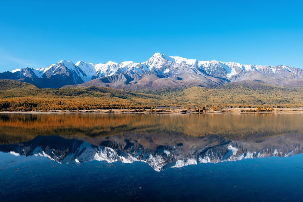 Фотография автора Савчиц Марина