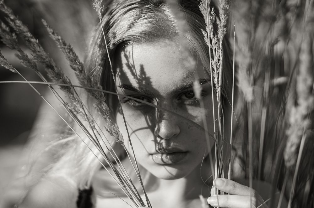 Photograph by Ales Pompa