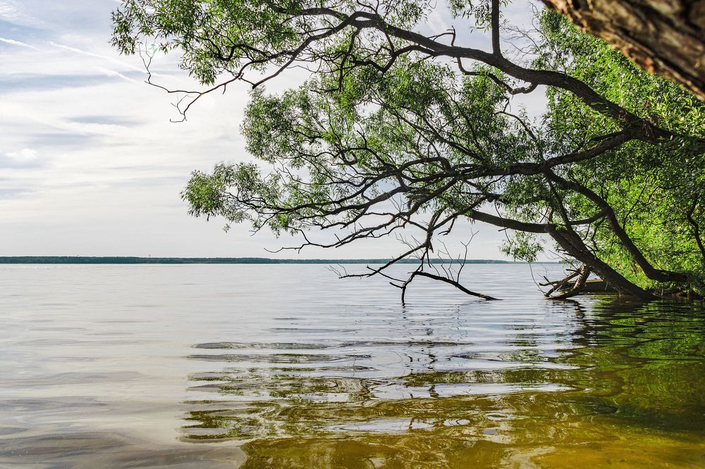 Photograph by Алексей Чеботарев