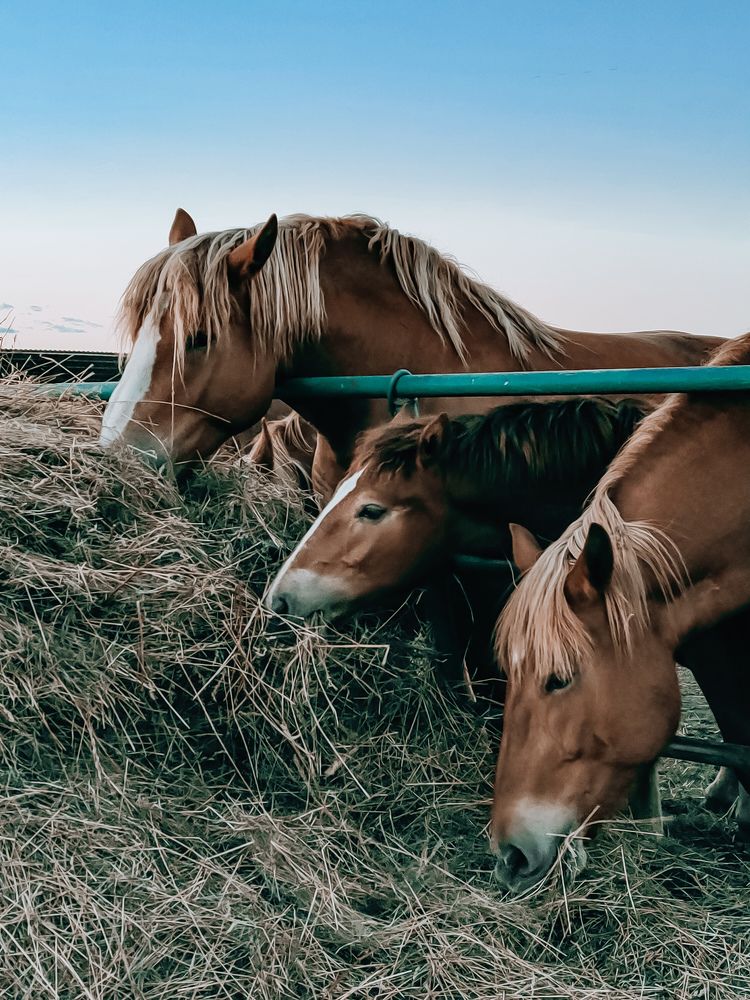 Photograph by Екатерина Смирнова