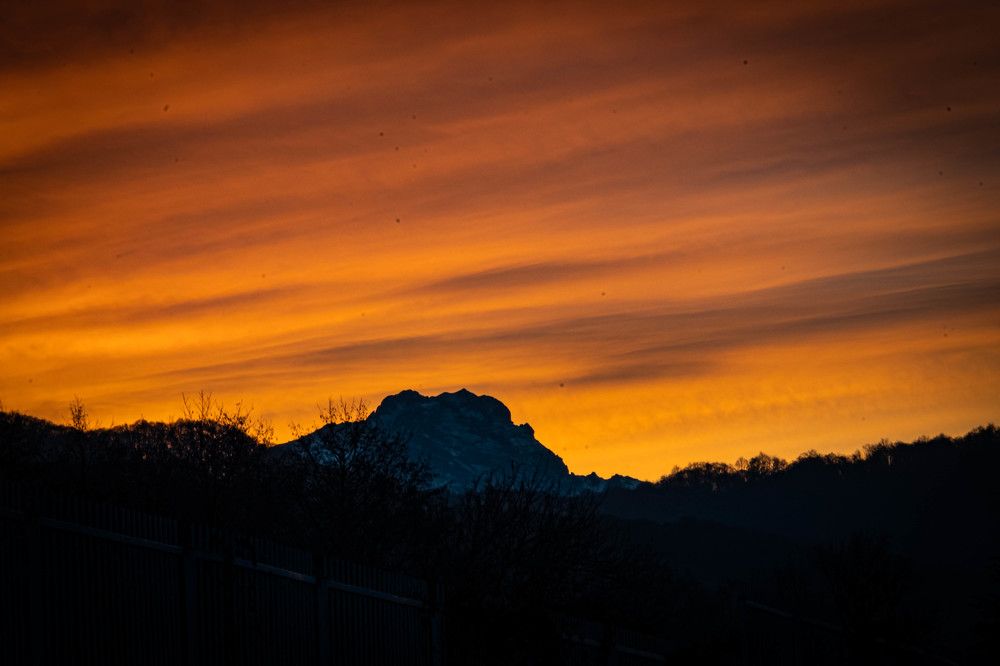 Фотография автора Оксана Белозерская