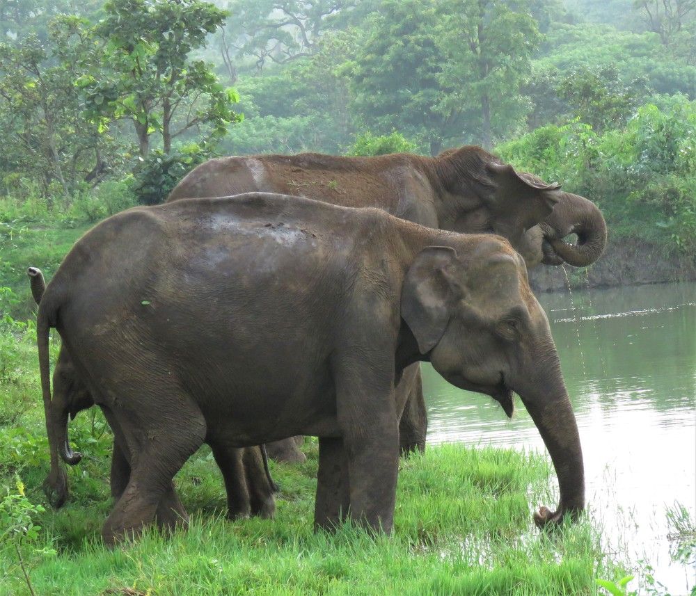 Photograph by ANISH BISWAS