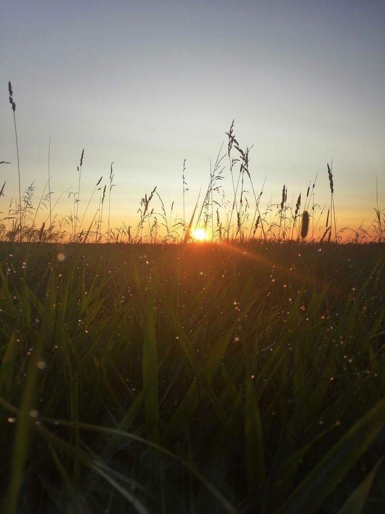 Photograph by Овечкин Павел