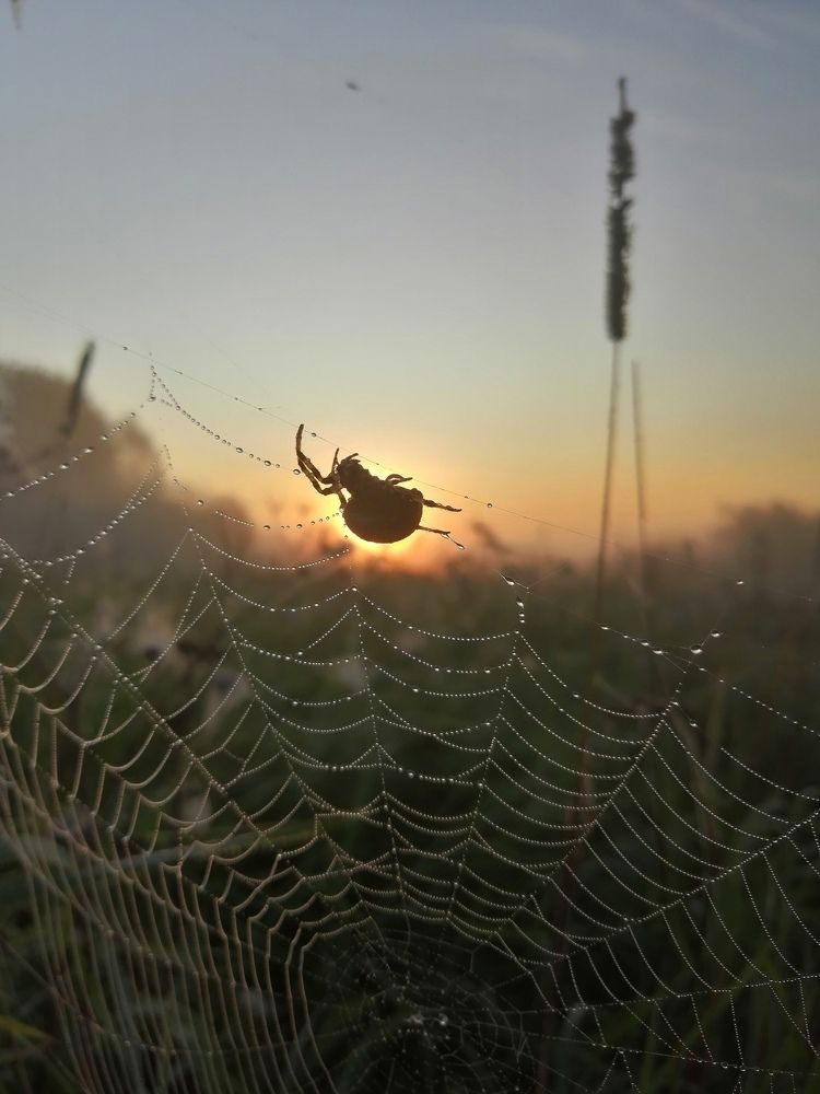 Photograph by Овечкин Павел