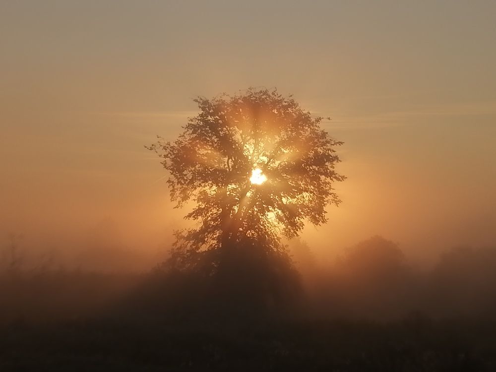 Photograph by Овечкин Павел