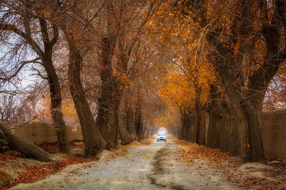 Photograph by Hengameh pirooz