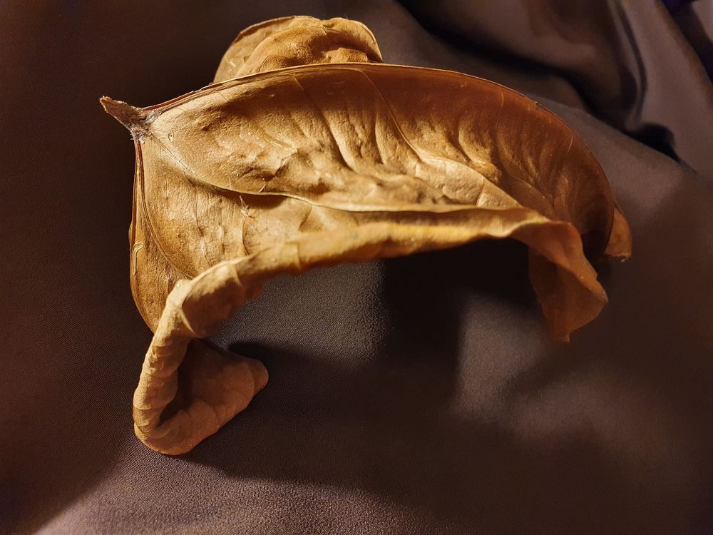 Photograph by Volkova Nataliia