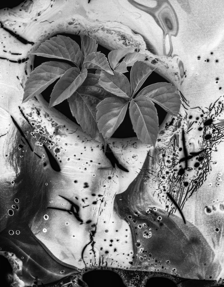 A Woman Giving Birth to Flowers II