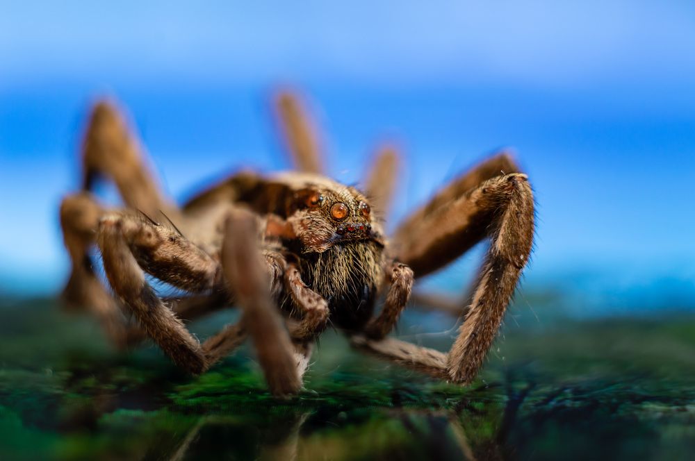 Photograph by Дмитрий Цикин