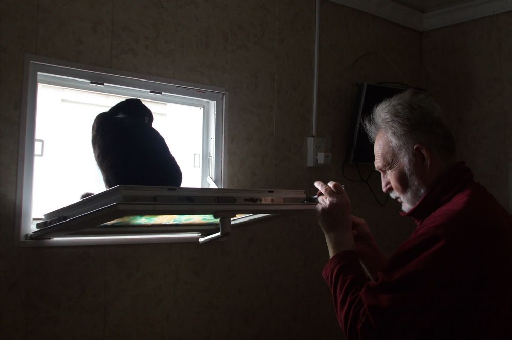 Photograph by Марина