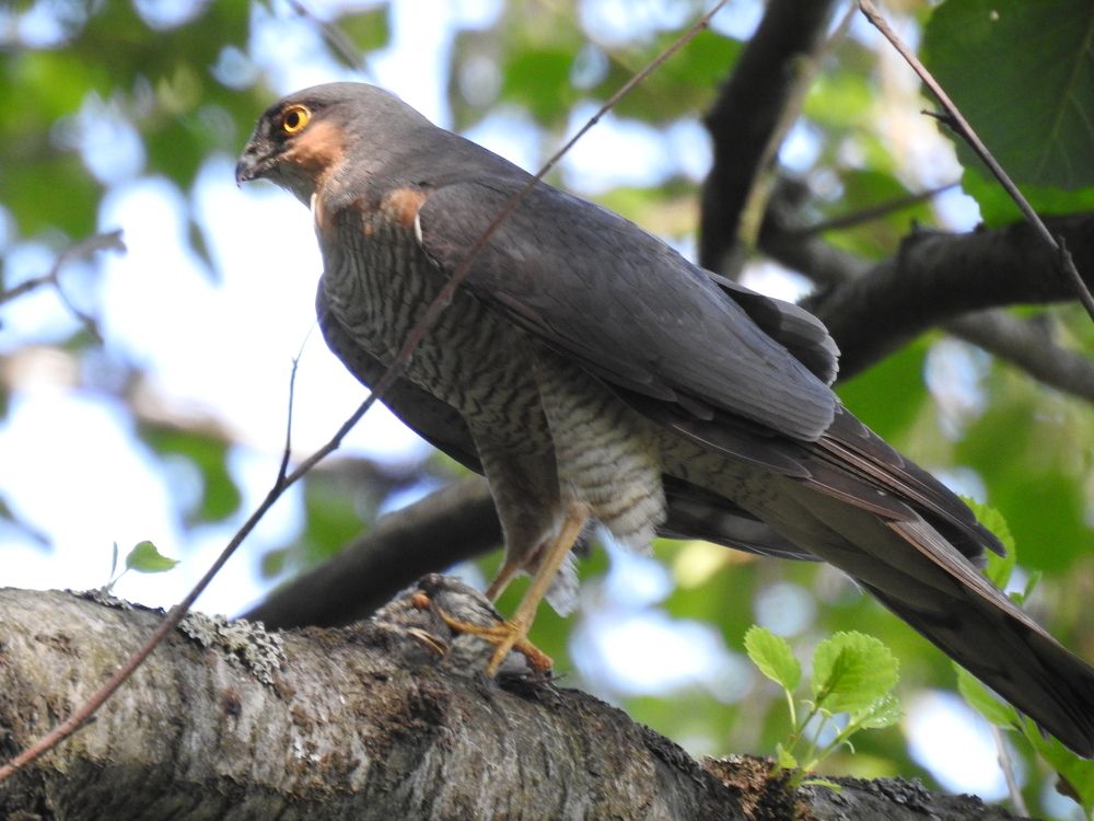 Photograph by Георгий Салюков